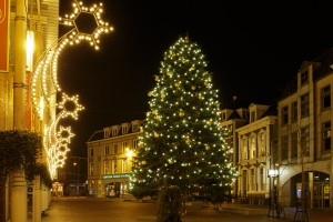 Kerstboom Westerhaven